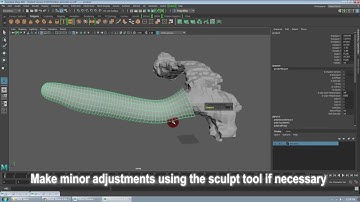 FluoRender Tutorial Series: Making Well-structured and Texturable Polygon Models