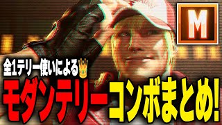 モダンテリーのコンボまとめ｜アシストコンボ3種の性質と、厳選ルート・画面端・インパクト後