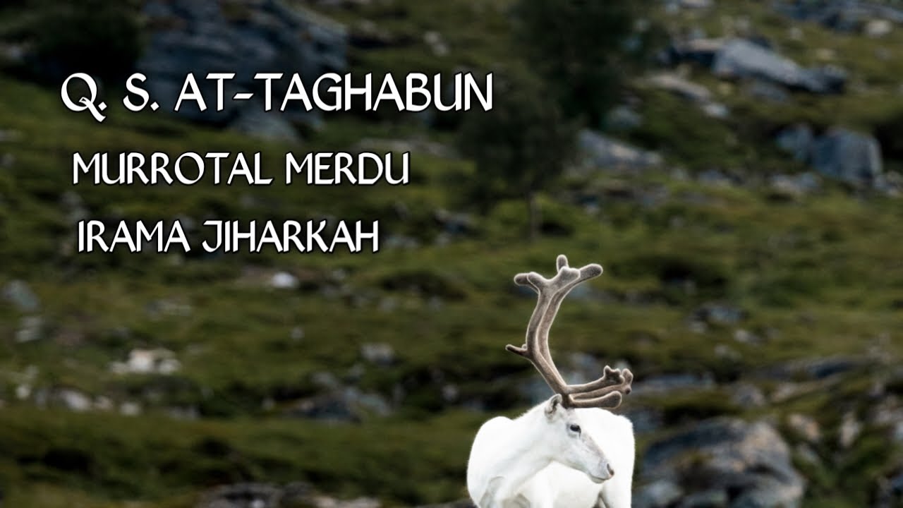 MURROTAL MERDU Q. S. AT-TAGHABUN IRAMA JIHARKAH