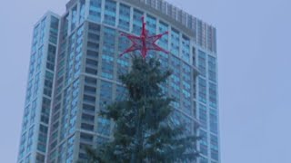 Crowds gathered for Chicago's Millennium Park tree lighting ceremony