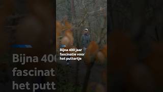 Thumbnail for Fascinatie voor vogels