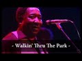 Muddy Waters Walking Thru The Park Live At Rockpalast 1978 mp3