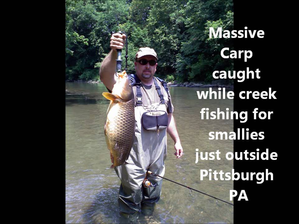Massive Carp Pittsburgh Fishing YouTube