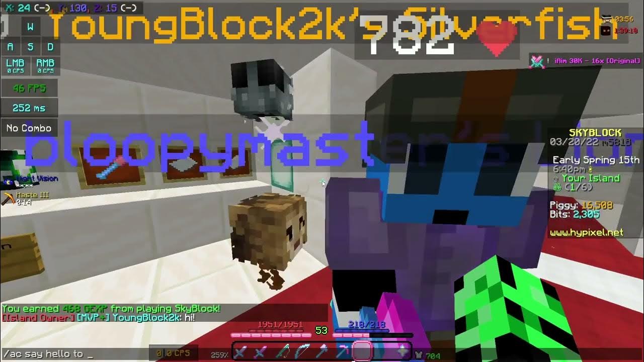 Hypixel Skyblock Glitch Museum ( made by Youngblock2k ) YouTube