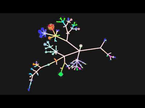 Site Code Visualisation
