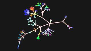 Site Code Visualisation