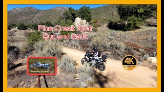 Dead End - Pine Creek Spur out and back  - Triumph Tiger 900 Rally Pro - Flying Skydio 2+ screenshot 4