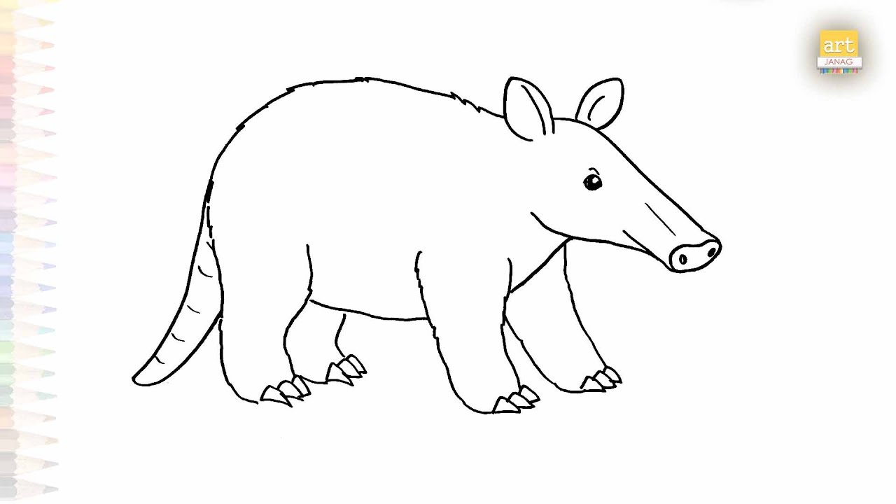 Aardvark easy drawing 01 | Outline art | How to draw Aardvark step by ...