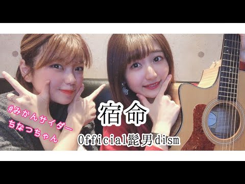 【女性が歌う】宿命 / Official髭男dism（covered by みかんサイダー松本千夏&sae）
