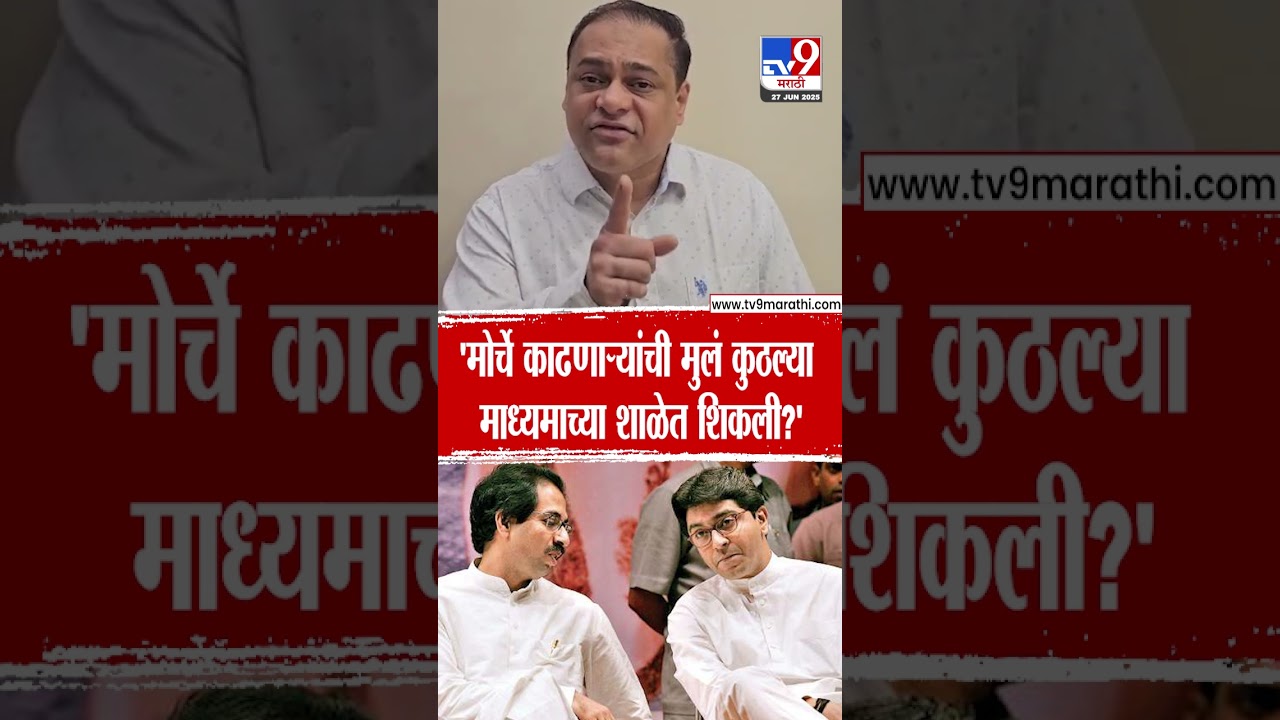 Amit Satam | 'मोर्चे काढणाऱ्यांची मुलं कुठल्या माध्यमाच्या शाळेत शिकली?' | Raj Thackeray