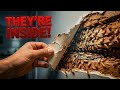 Termite Infestation Warning Signs - 5 Facts Every Homeowner Needs