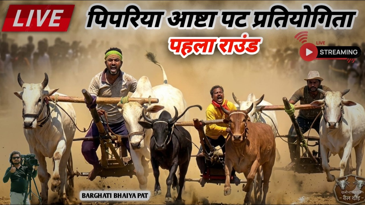 Aashta Pat 🔴 Ox Race Live Today 🌹 आष्टा पट प्रतियोगिता Bilgada Sharyat 👍 Pat Pratiyogita Video