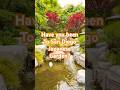 Japanese Friendship Garden: A Century of Culture &amp; Peace #shorts