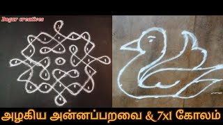 Annaparavai Kolam And 7X1 Padikolam அனனபபறவ Kolam 7X1 படககலம