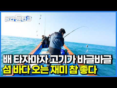 유난히 물고기 맛있기로 유명한 섬바다에서 고기 잘 잡는 법 뭔가 했더니｜통영 <strong>소매물도</strong>｜한국기행｜#골라듄다큐