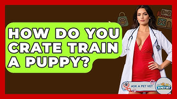 How Do You Crate Train A Puppy? - Ask A Pet Vet