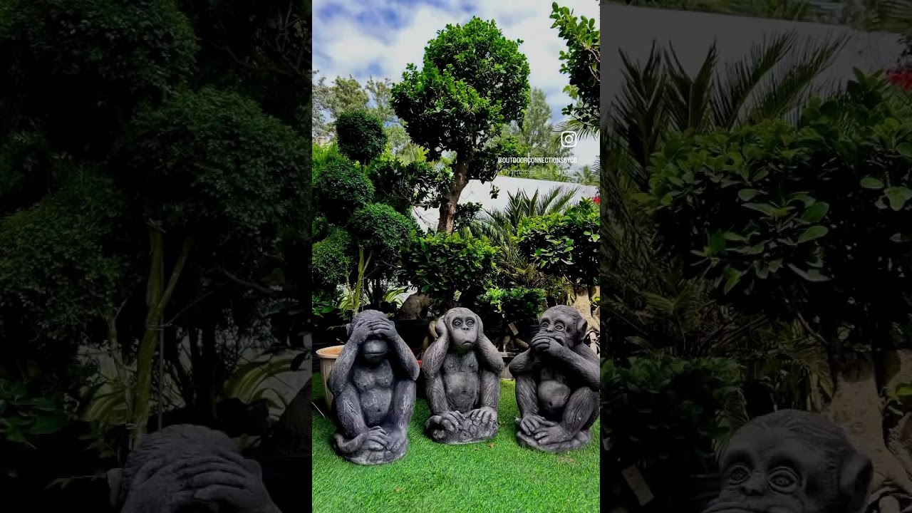 Add a touch of whimsy to your garden with our adorable wise monkey sculptures🌿🐒✨ 