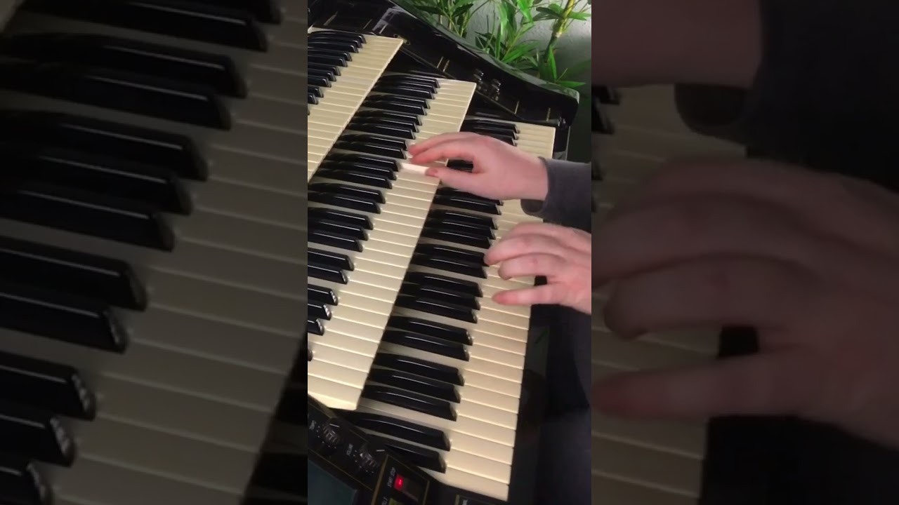 Stars Fell on Alabama | Florian Hutter - Wersi Atlantis 