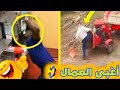 لقطات مضحكة من عالم العمل عمال يصنعون الفوضى بأسلوبهم الخاص 1 