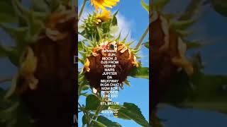 DJS FROM VENUS MARS JUPITER DA MILKYWAY DA SUN MOON STARS 🌠✨🧲🧲 GOT U FALLING IN LOVE AGAIN. TE AMO🌙🎶