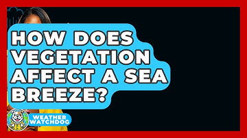 How Does Vegetation Affect A Sea Breeze? - Weather Watchdog