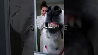 L’avertissement que seul le chien a compris