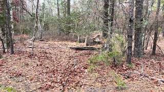 Celebrity IMG 3428 Wealth