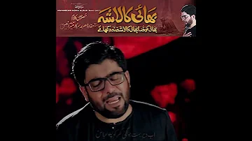 Bhai ka laasha|Mir Hassan Mir| new noha short video