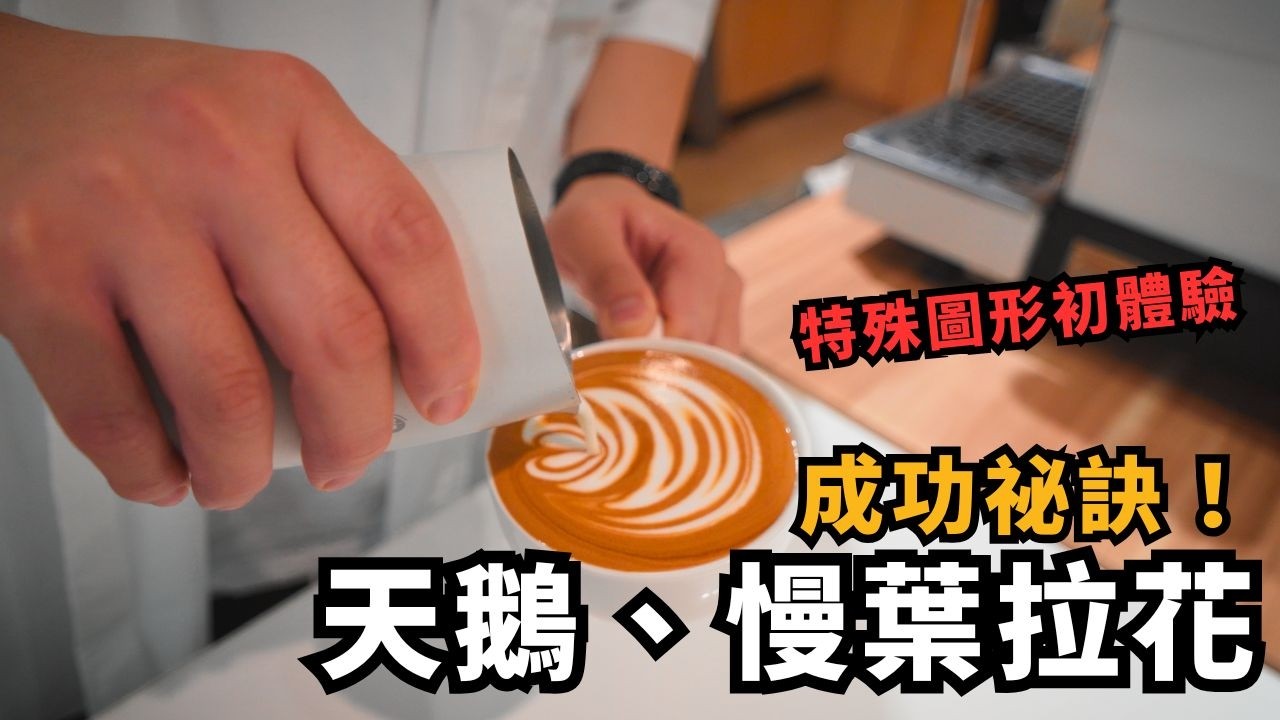 天鵝 vs. 慢葉拉花怎麼做？！挑戰在三次內學會？feat. Chou Taipei