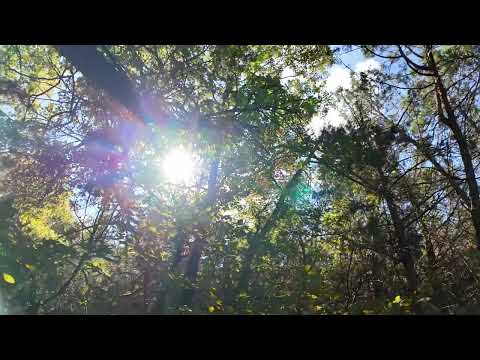 Mystic Hills Ranchettes