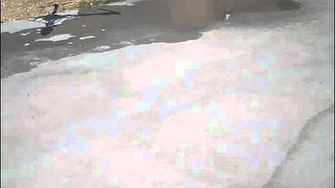 Servo Yaw Test Success