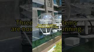 Not Bad, Right? 100% Natural Light, Brought Indoors.