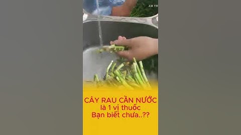 Công dụng của cây rau cần nước : thiếu máu não , rối loạn tiền đình ......