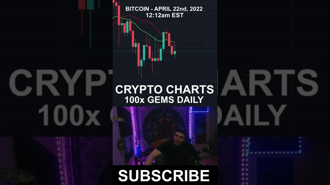 Crypto Bull Market or Bear Market?