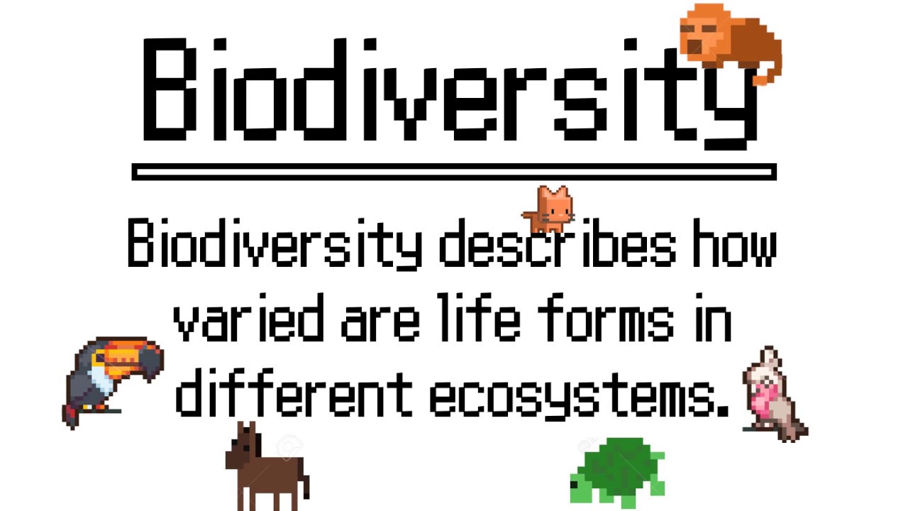 biodiversity performance task
