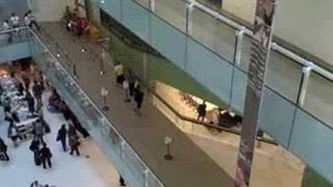 state library of qld knowledge walk - 18 Sep 2008