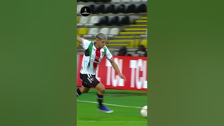 🔝⚽ #PALESTINO 🆚 #FLAMENGO #LIBERTADORES
