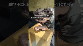 МФР передплічь | Мобілізація передпліччя | Forearms Mobility
