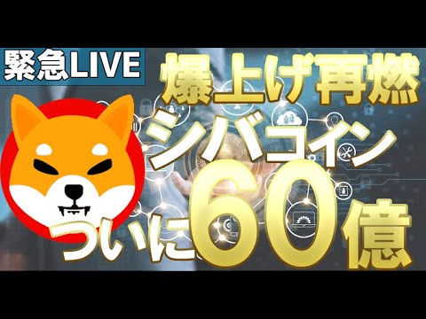 【仮想通貨ライブ配信！】シバコイン60億円到達⁉ビットコインで注目を集める仮想通貨業界の今を緊急生配信で徹底解説！