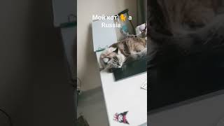 мем