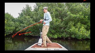 Fly & Light Tackle Baby Tarpon, Snook, & Grouper Fishing The Everglades