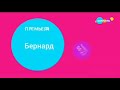 Бернард Карусель 2024 