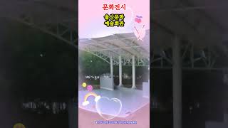 울산문화예술회관 대공연장 영상