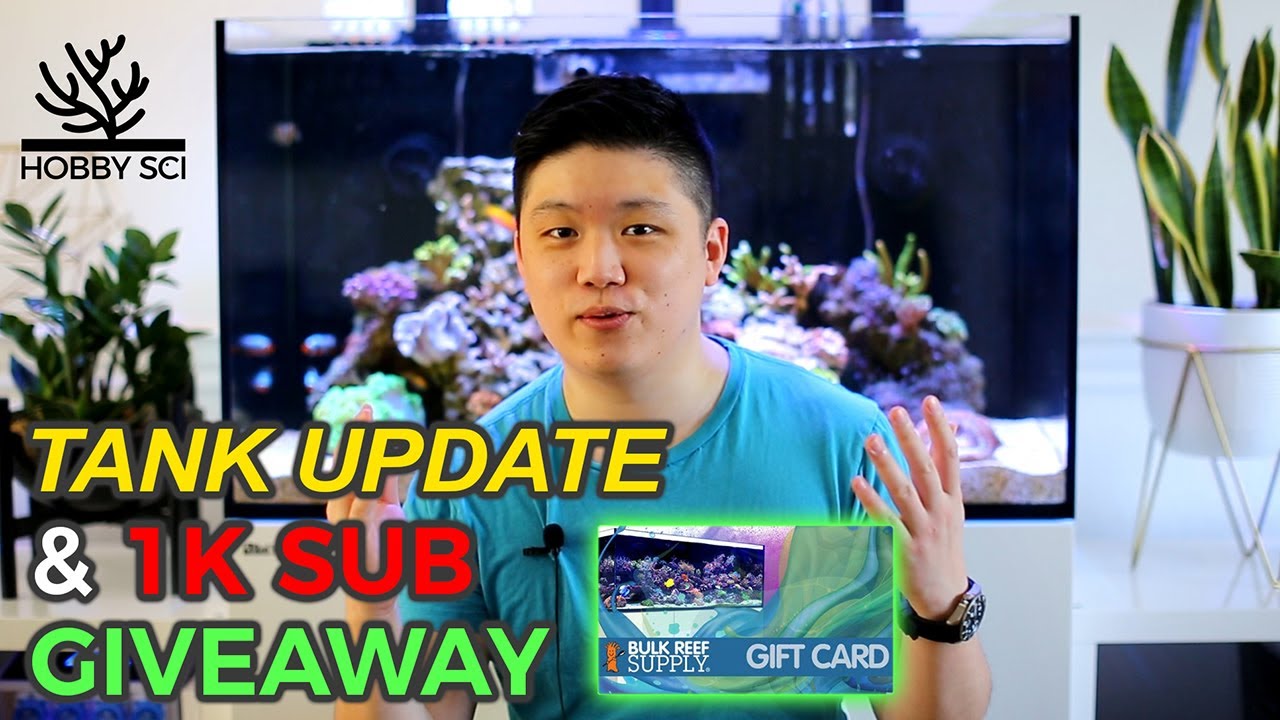 1,000 Sub Giveaway and Red Sea Reefer 250 Tank Update