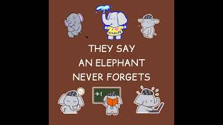 Welcome To Animal World Episode 3 #elephants #goat #ponies #butterflies #zebra #girraffe #animals