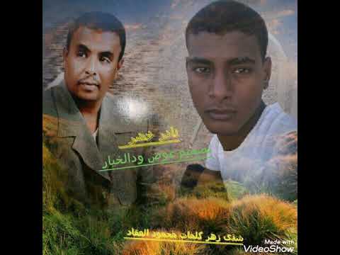 نادر خضر اغنية شذى زهر