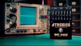 Way Huge® Atreides™ Analog Weirding Module