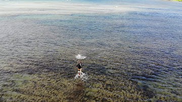Fishing Hawaiian Style Throw Net Drone Footage Vol. 3