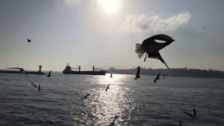 istanbul website wallpaper screenshot 5