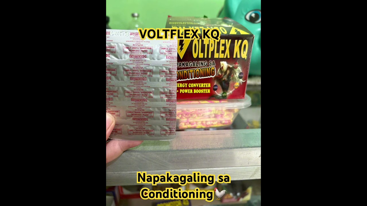 VOLTFLEX KQ||Napakagaling sa Conditioning🐓